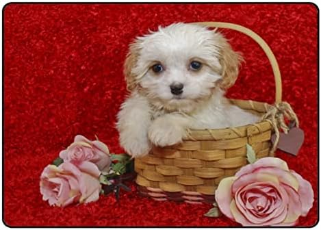 Tsingza tapete macio tapetes de área grande, pequenas rosas brancas de cachorro confortável no tapete interno,