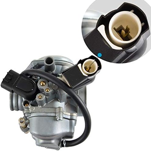 Carburador Wztepeng com filtro de combustível compatível com 2008-2019 Honda Ruckus 50 NPS50, substitua