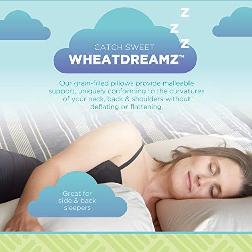 PRODUTOS DE feijão WheatDreamz Pillow padrão - Feito nos EUA - Casca com zíper de algodão orgânico com
