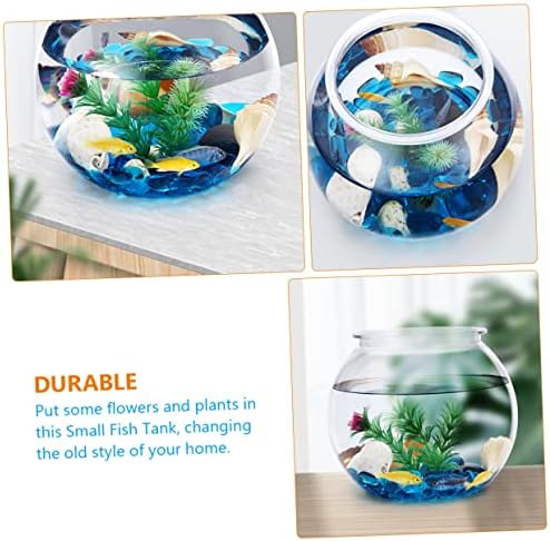 IPETBOOM redondo tanque de peixe vasos de vidro transparente Terrários de vidro para plantas vaso de vidro