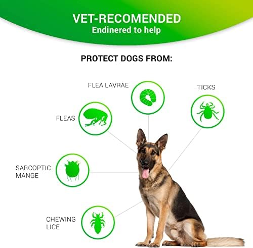 Colar de pulga para cães, colarinho de cachorro natural, 2 pacote, proteção de 8 meses - 25,9