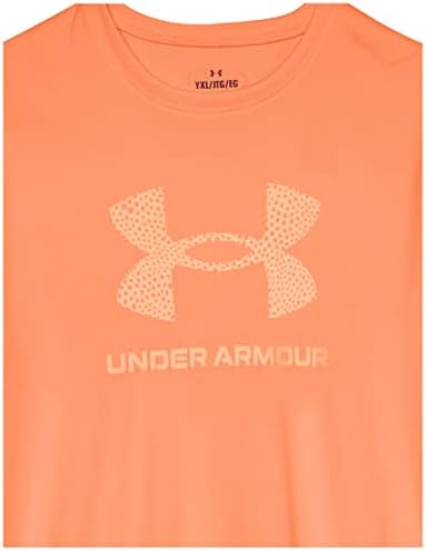 Under Armour Girls 'Tech Print Big Logo Sleeve Crew