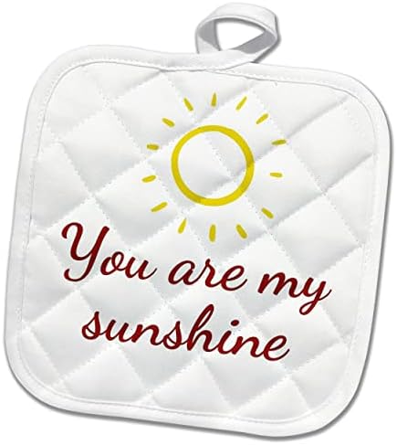 Imagem 3drose de um sol com texto de você é meu sol - paneldolders