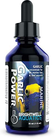 Brightwell Aquatics Alho Power - Concentrado de alho líquido para aquários marinhos 30 ml