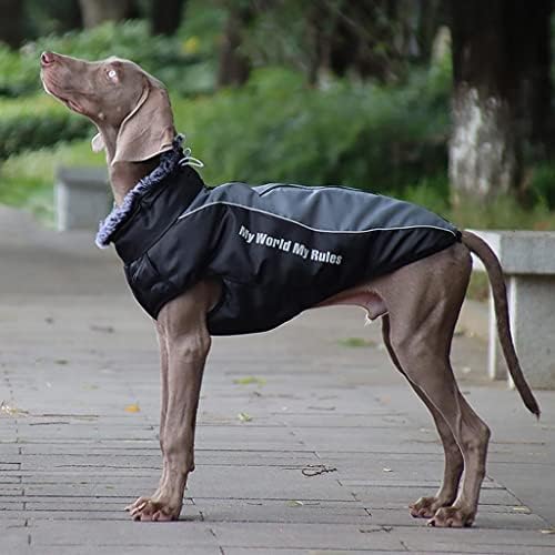 Cão reflexivo de Baoblaze com trela de cães de cães para cães para cães para cães para cães para