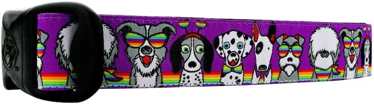 Rainbow Dog temático de colarinho de cachorro