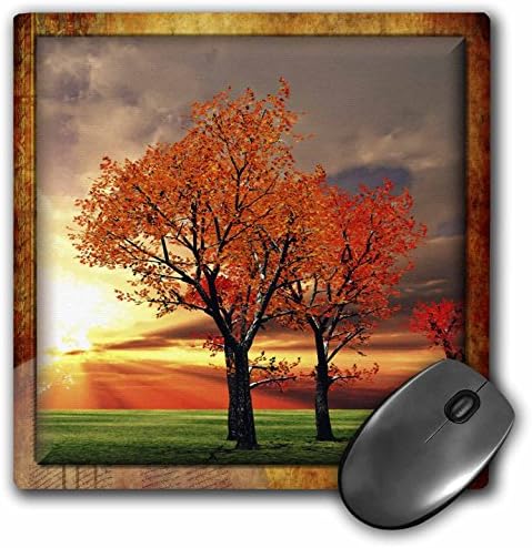 3drose LLC 8 x 8 x 0,25 polegadas mouse blide, cenário de outono