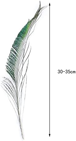 100pcs natura-pavão de pavão 30-35cm/12-14 polegadas de espada de pavão para uma variedade de