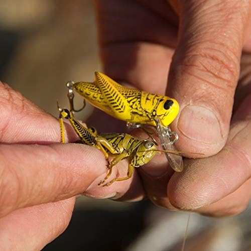 Rebel -Lures Crickhopper Cricket/Grasshopper Crankbait Fishing Lure, 1 1/2 polegada, 1/4 onça