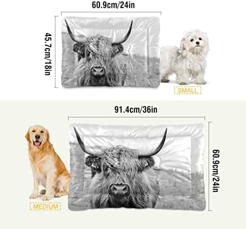 Xigua Cow Print Dog Bed Cama de gato lavável Cama de animais de estimação Ultra Ultra Soft sem deslizamento