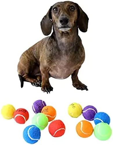 Bolas de tênis de cães x-small Midlee, pacote de 12 de 12