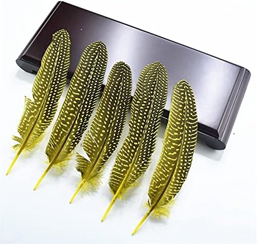 50 PCS Pérola natural Pérola das penas de penas de frango Feather de faisão para artesanato decoração de decoração