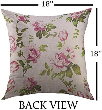 Capa de travesseiro decorativo do Mugod Decorative para sofá de sofá, abstrato abstrato rosas chiques chiques