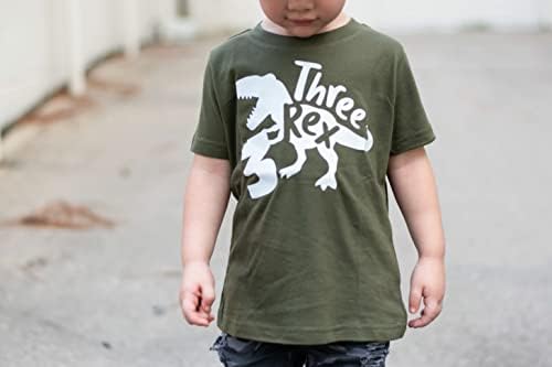 Três camisetas e raglans para meninas e meninos de terceiro aniversário