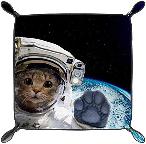 Retrato de um astronauta de cachorro no espaço em um fundo da bandeja de vaidade do padrão do mundo,