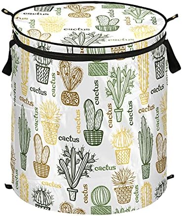 Alaza 50 L cesto de roupa pop-up, plantas suculentas e cactos em panelas cestas de roupas grandes