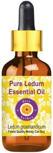 Deve Herbes Pure Ledum essencial a vapor destilado com gotas de vidro 50ml