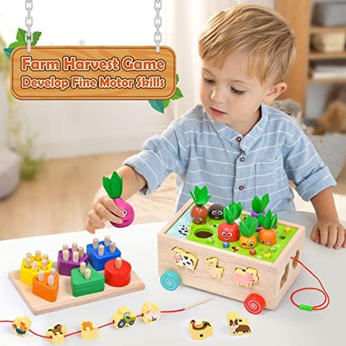 6-em 1 Montessori Toys por 3 anos de meninos de 4 anos, meninos de criança, brinquedos educacionais de triagem