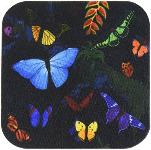 3drose cst_3221_4 Borterflies da floresta tropical Coasters de azulejos de cerâmica, conjunto de 8