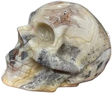 Teloni Natural Crazy Agate Skull Bone Spirit Meditação Feitaria de Pedra Feng Feng Shui Cristal Home Energy