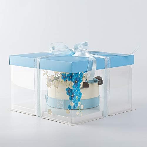 Visão doce de 10 polegadas x 8,25 polegadas caixas de bolo transparentes, 10 caixas de bolo