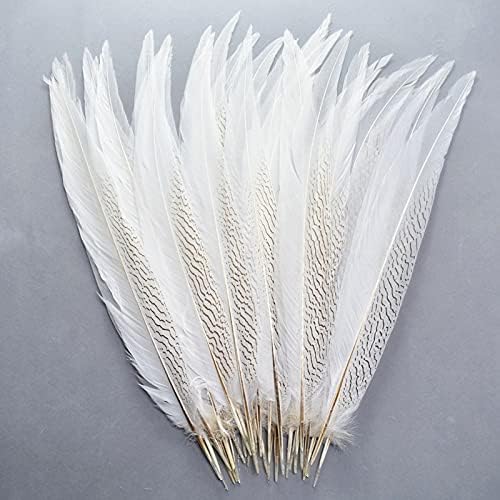 Zamihalaa 100pcs/lot tingindo penas de cauda de faisão de prata 30-80cm/12-32 polegh Fantas de faisão de prata para artesanato bundas plumas