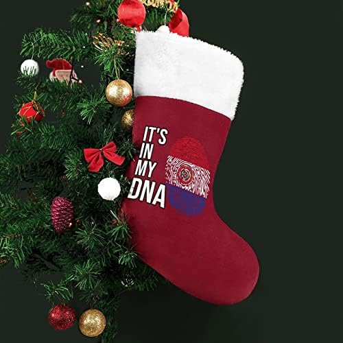 Está na minha bandeira de paraguai de DNA, de Natal, clássico, ornamentos pendurados, saco de doces de manguito branco para decorações de festas de férias em família