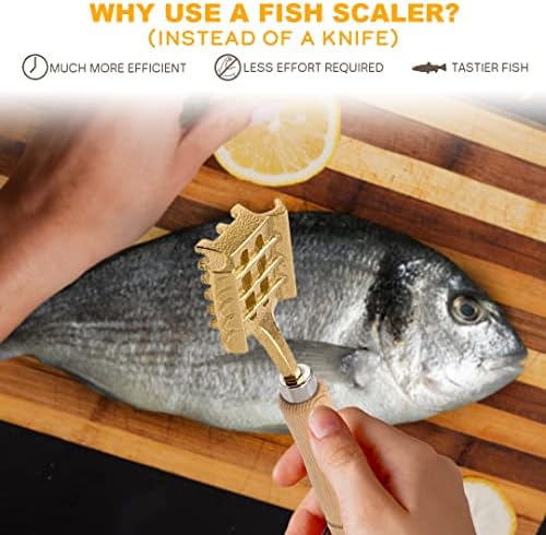 Fish Scaler Brass Brass Winged Design Descaler de Reduting Mess Fabled in Japan