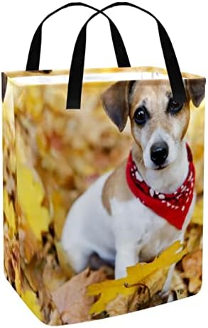 Russel Jack Terrier Puppy Dog Print Couldry Roundry Horse, 60L de lavanderia à prova d'água Baskets de
