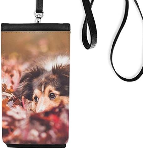 Cachorro animal de estimação de animais de estimação bolsa de carteira de telefone pendurada bolsa preta