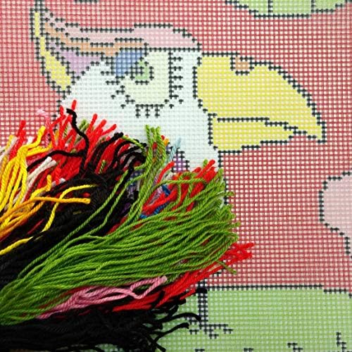 Parrot de Brvsk. Kit de bordado. Jogue travesseiro 16 × 16 polegadas. Tela de tapeçaria impressa, qualidade européia