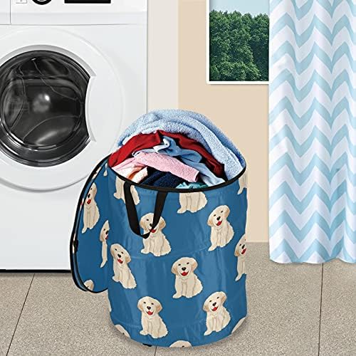 Labrador Retriever cachorro Pop -up Laundry Horty com tampa de cesta de armazenamento dobrável Bolsa de roupa