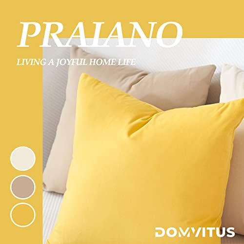 Domvitus Velvet Throw Pillow Capas 18x18 Conjunto de 2 travesseiros decorativos para travesseiros de sofá quadrados
