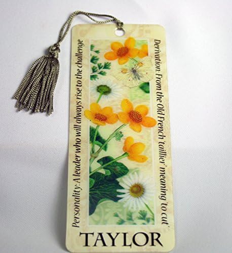 Personalidade Placemarker Taylor marcador, médio, multicolor