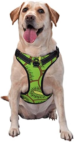 Arnês de cães verde kiwi padrão animal de estimação arnês de colete externo x-large