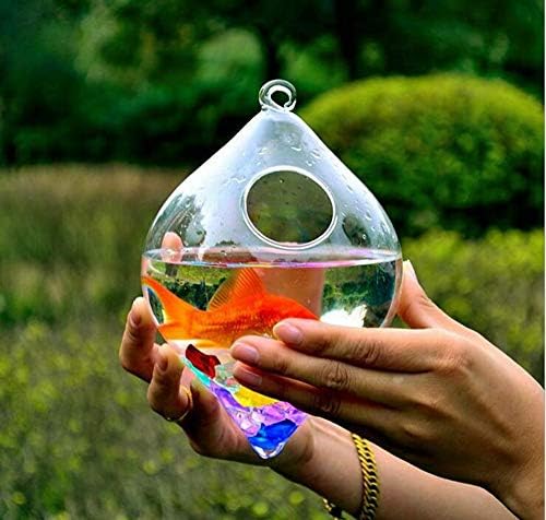 Sisi Sisi pendurado tanque de peixes de vidro transparente Fish Fish Bowl Vasos criativos de aquário