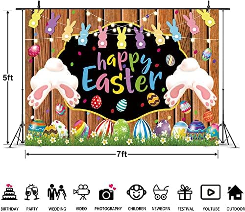 Fotografia de Páscoa Passo -cenário Coelhinho de Páscoa Glitter Glitter Bunny Rabbit Ovos coloridos decorações flora