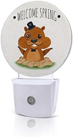 Luz da noite do dia da marmota para crianças, adultos, meninos, meninas, criança, viveiro de bebês, banheiro, quarto hallet hoilet plug in Wall Night Light Sensor automático engraçado
