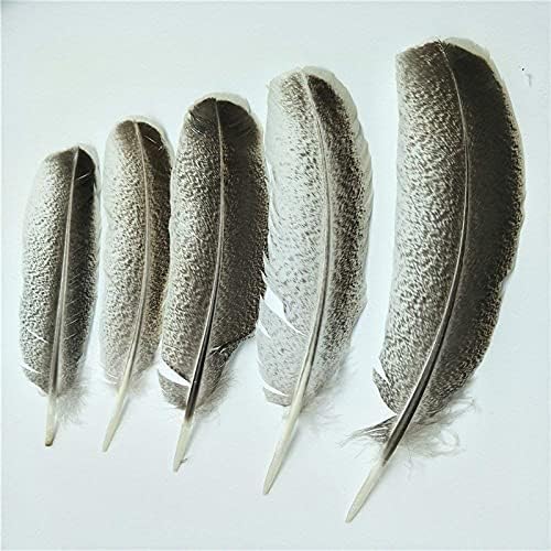 Ttndstore as penas de águia natural para jóias que fazem decoração de decoração de carnaval de penas de casamento plumas plumas-15221