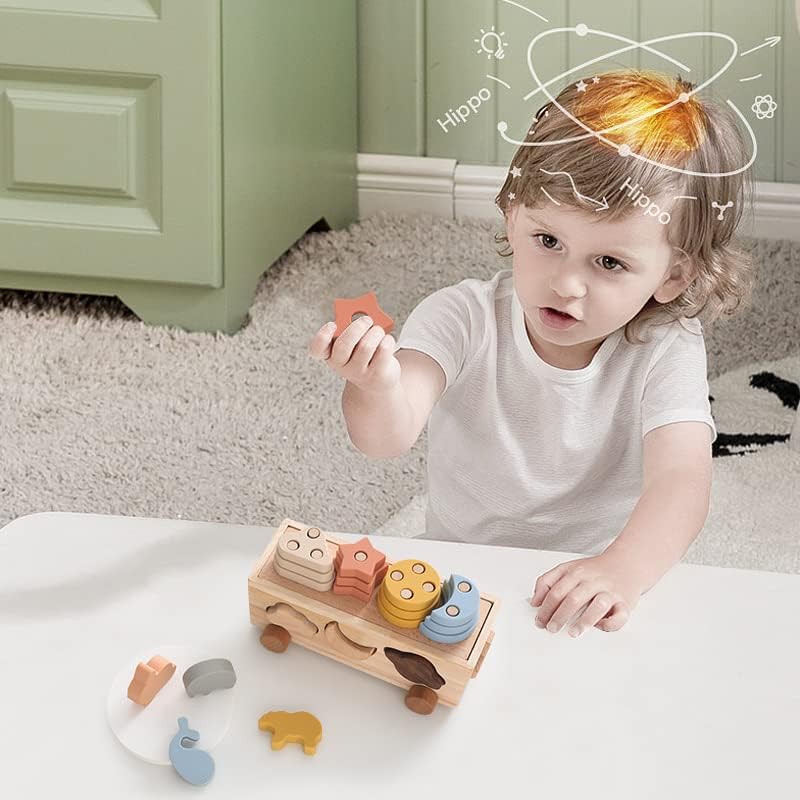 Macabaka 4 Jogos em 1 Montessori Shape Sortter Toys Blocks CART Toys de empilhamento educacional conjunto com