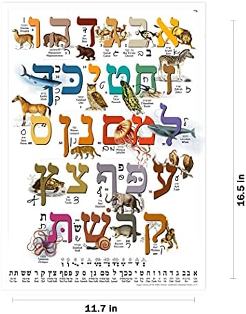 Hebraico Aleph BET Poster/gráfico de animais para crianças com alfabeta imprimido e cursivo Perfeito para iniciantes para aprendizes de idiomas hebraicos iniciantes