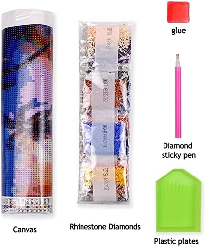 Kits de pintura de diamante 5D de fangkissu para adultos, broca completa Dragonfly Flor Dragonfly Spring Spring