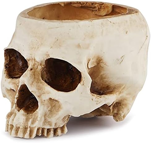 ReadAeer Skull Planter Resina Skull Flower Pot para decorações de mesa de escritório em casa