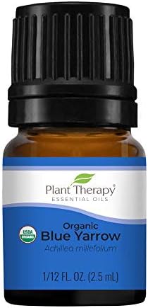 Terapia vegetal azul orgânico Óleo essencial 2,5 ml puro, não diluído e grau terapêutico