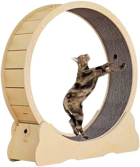 Roda de corrida de gato akenow ， roda de exercícios para gatos internos ， 31,5 '' x 39.4''Cat giration