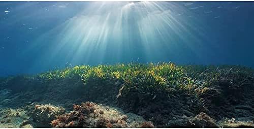 Aumentar o fundo do tanque de peixes do fundo do oceano fundo aquático aquático de coral aquário de aquário 24x12 polegadas vinil
