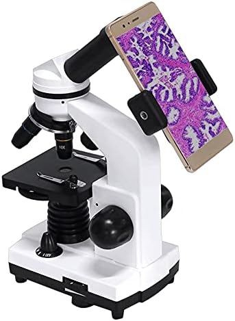 BZLSFHZ Composto Profissional Microscópio Biológico Microscópio Microscópio Microscópio Microscópio Adaptador de Smartphone 40x-1600x