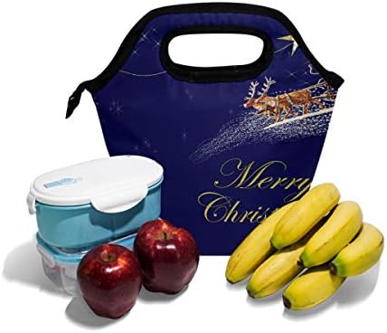 HEOEH Árvore de Natal Deer Papai Noel Sleigh Luncher Bag Cooler Bolsa Isolada Bolsa de lancheiras com zíper para o escritório da escola ao ar livre