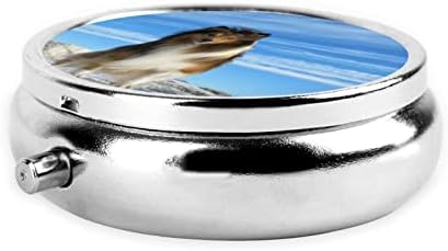 Caixa de comprimidos de mini -pílula redonda de cachorro shetland - organizador de vitamina dispensador diário