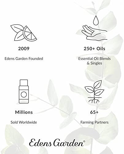 Edens Garden Best of the Melhor Sampler Essential Oil Set, puro pacote de amostrador de aromaterapia- conjunto de